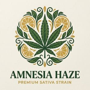 Amnesia Haze premium weed strain UK citrus uplifting flower