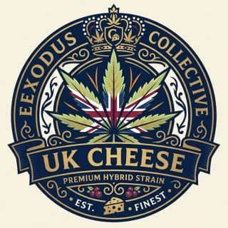 online dispensary