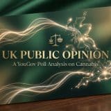 UK cannabis public opinion infographic showing British attitudes towards cannabis legalisation and reform in 2026.