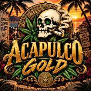 Acapulco Gold Cannabis sativa herbal