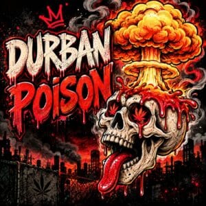 Durban Poison Cannabis sativa herbal product