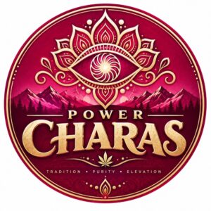 Power Charas Cannabis sativa solid